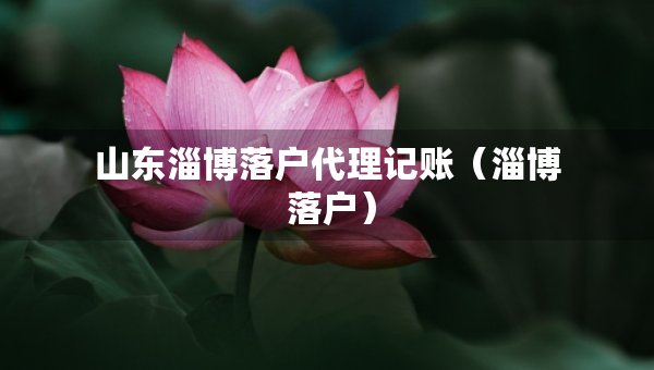 山东淄博落户代理记账（淄博 落户）