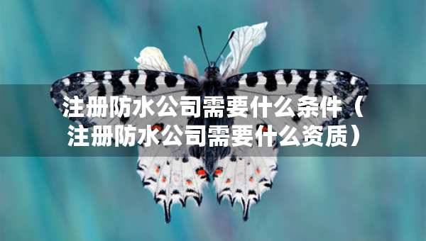 注册防水公司需要什么条件（注册防水公司需要什么资质）