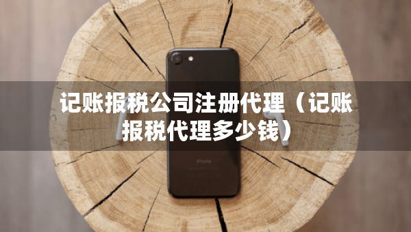 记账报税公司注册代理（记账报税代理多少钱）