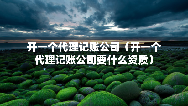 开一个代理记账公司（开一个代理记账公司要什么资质）