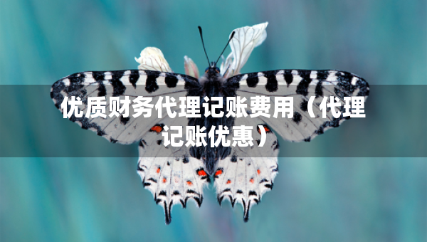 优质财务代理记账费用（代理记账优惠）