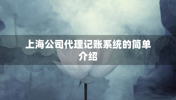 上海公司代理记账系统的简单介绍