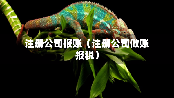 注册公司报账（注册公司做账报税）