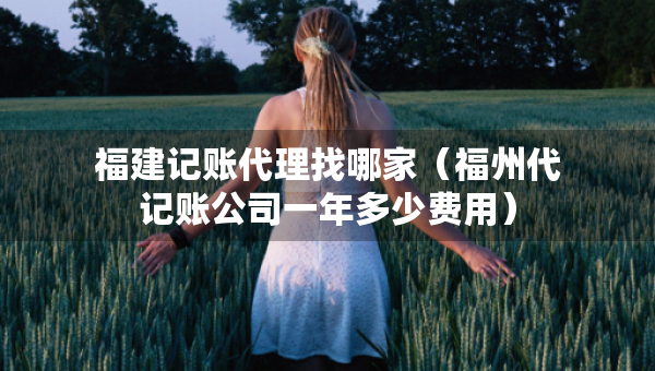 福建记账代理找哪家（福州代记账公司一年多少费用）