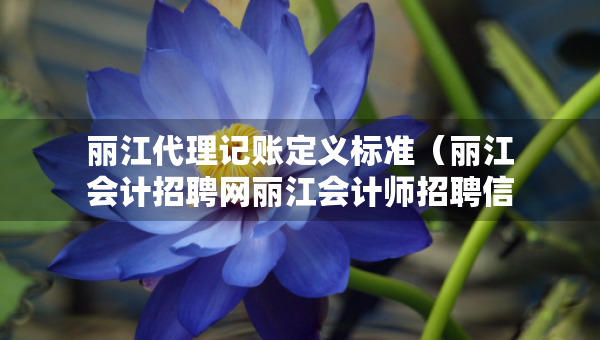 丽江代理记账定义标准（丽江会计招聘网丽江会计师招聘信息）