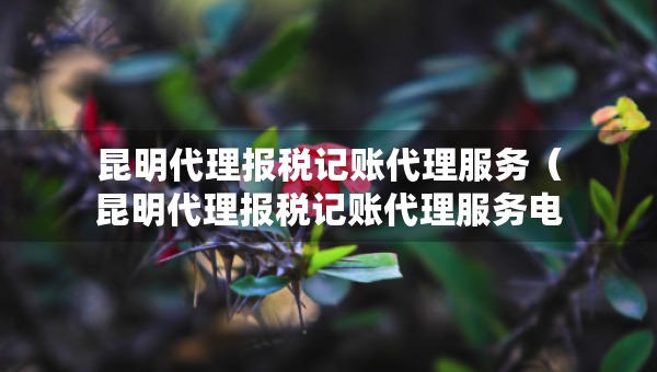 昆明代理报税记账代理服务（昆明代理报税记账代理服务电话）