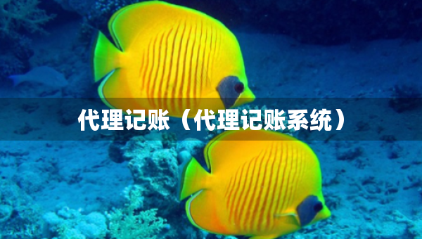 代理记账（代理记账系统）