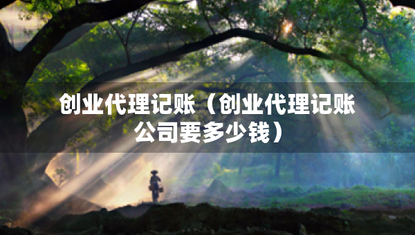 创业代理记账（创业代理记账公司要多少钱）