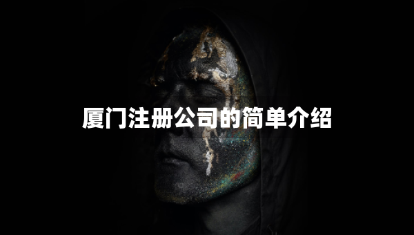 厦门注册公司的简单介绍