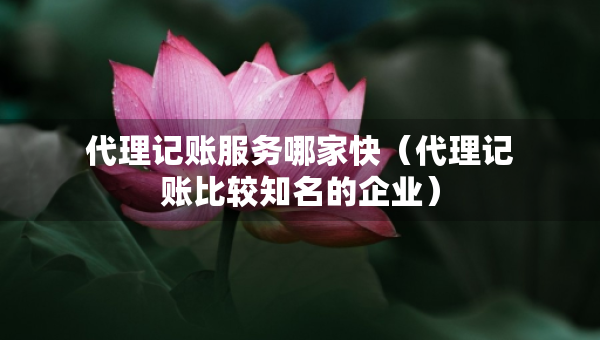 代理记账服务哪家快（代理记账比较知名的企业）
