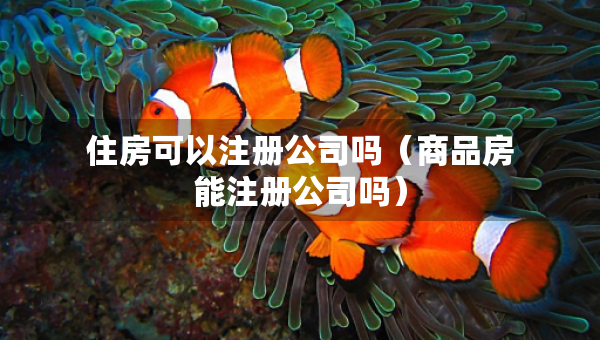 住房可以注册公司吗（商品房能注册公司吗）