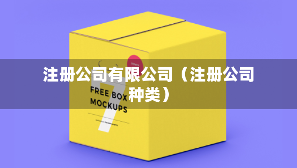注册公司有限公司（注册公司种类）