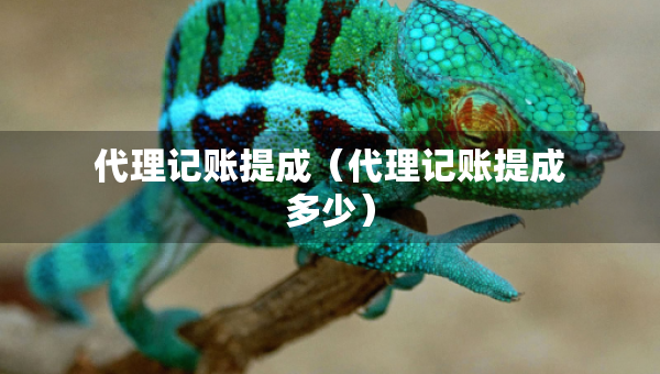 代理记账提成（代理记账提成多少）