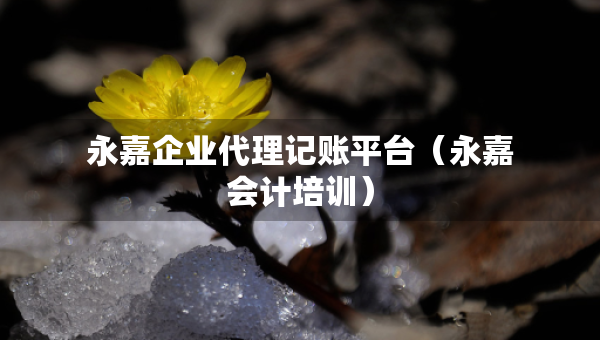永嘉企业代理记账平台（永嘉会计培训）