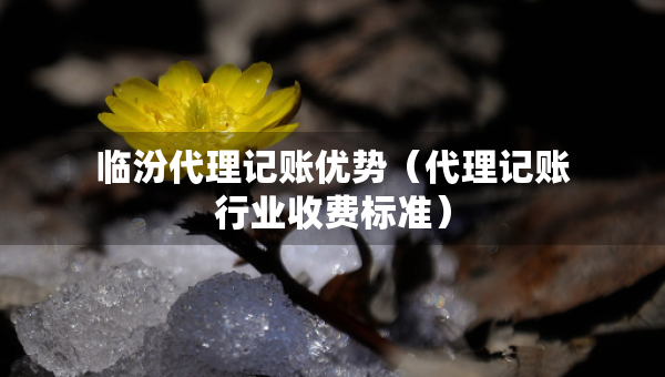 临汾代理记账优势（代理记账行业收费标准）