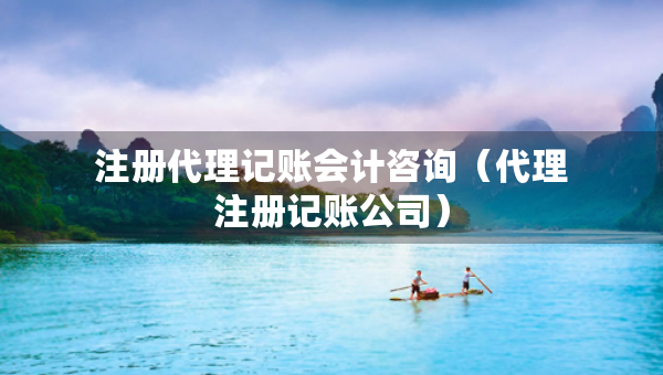 注册代理记账会计咨询（代理注册记账公司）
