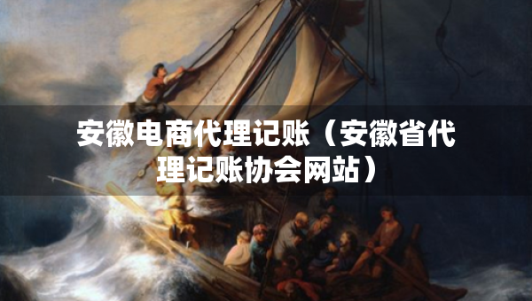 安徽电商代理记账（安徽省代理记账协会网站）