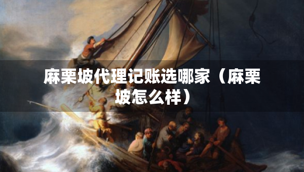 麻栗坡代理记账选哪家（麻栗坡怎么样）