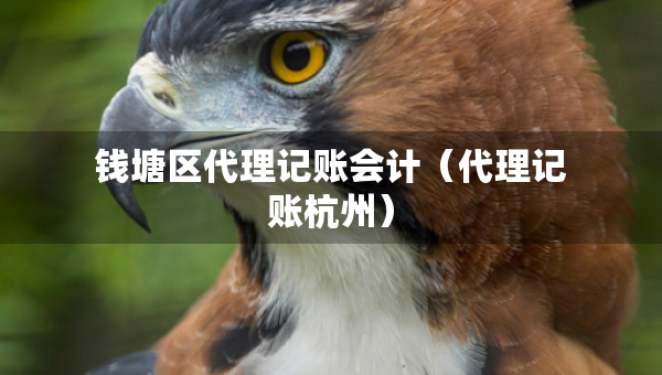 钱塘区代理记账会计（代理记账杭州）