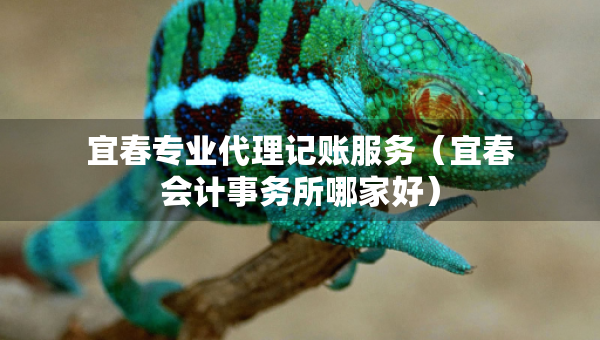宜春专业代理记账服务（宜春会计事务所哪家好）