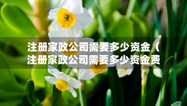 注册家政公司需要多少资金（注册家政公司需要多少资金费用）