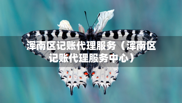 浑南区记账代理服务（浑南区记账代理服务中心）
