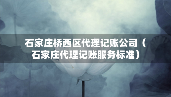 石家庄桥西区代理记账公司（石家庄代理记账服务标准）
