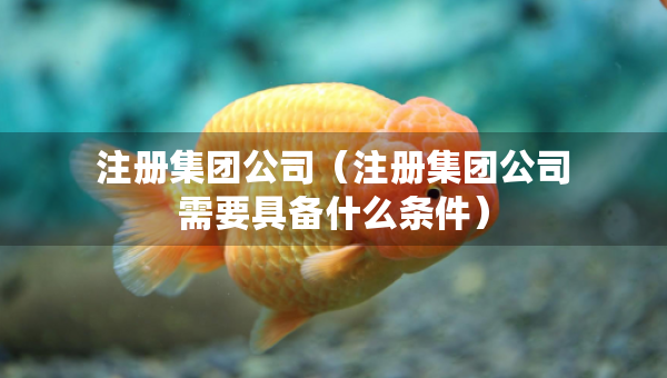 注册集团公司（注册集团公司需要具备什么条件）