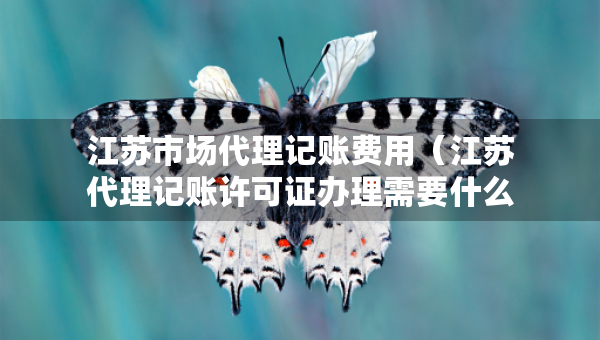 江苏市场代理记账费用（江苏代理记账许可证办理需要什么条件）