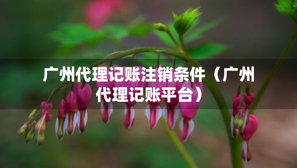 广州代理记账注销条件（广州代理记账平台）