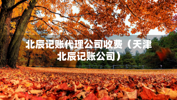 北辰记账代理公司收费（天津北辰记账公司）