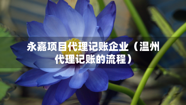永嘉项目代理记账企业（温州代理记账的流程）