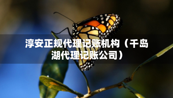 淳安正规代理记账机构（千岛湖代理记账公司）