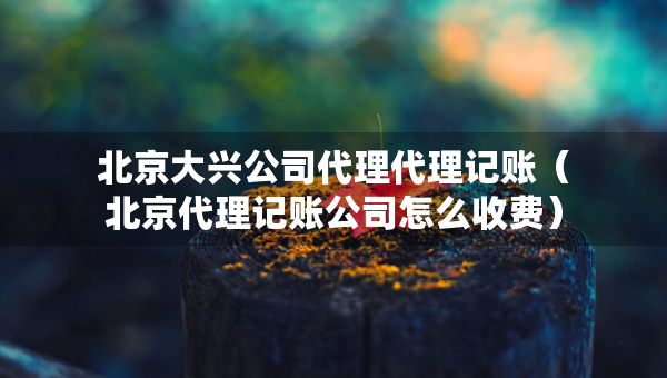 北京大兴公司代理代理记账（北京代理记账公司怎么收费）