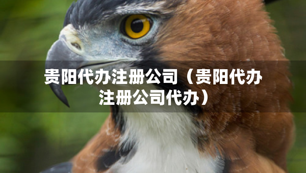 贵阳代办注册公司（贵阳代办注册公司代办）
