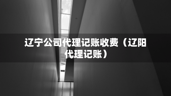 辽宁公司代理记账收费（辽阳代理记账）