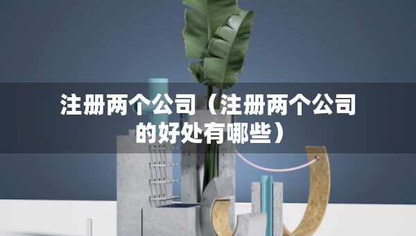注册两个公司（注册两个公司的好处有哪些）