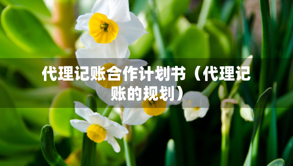 代理记账合作计划书（代理记账的规划）