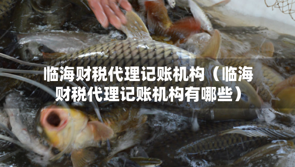 临海财税代理记账机构（临海财税代理记账机构有哪些）
