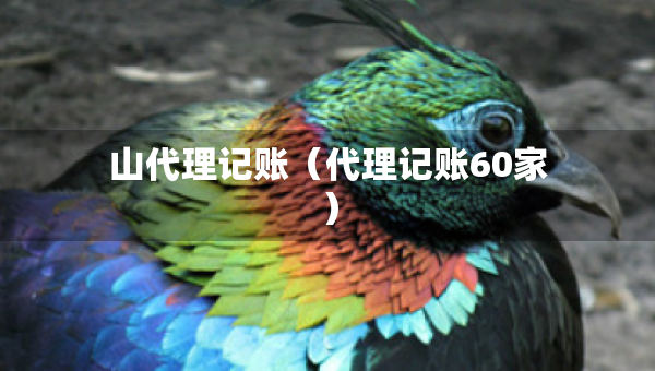 山代理记账（代理记账60家）