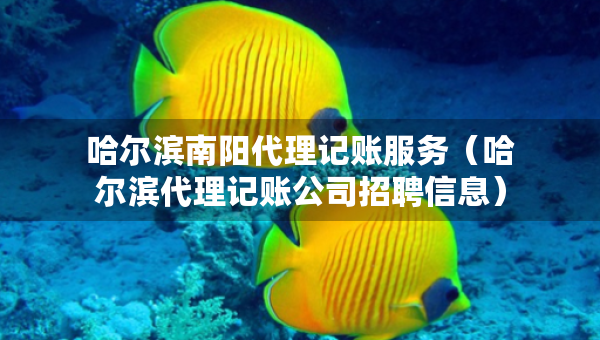 哈尔滨南阳代理记账服务（哈尔滨代理记账公司招聘信息）