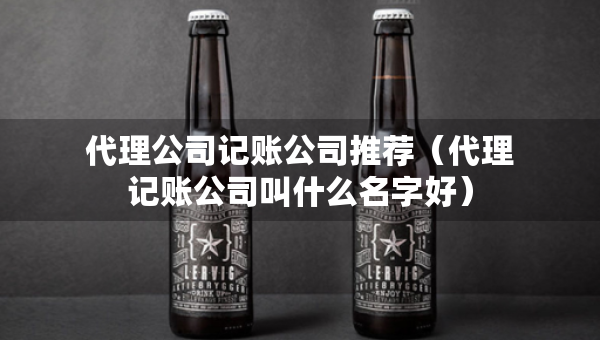 代理公司记账公司推荐（代理记账公司叫什么名字好）