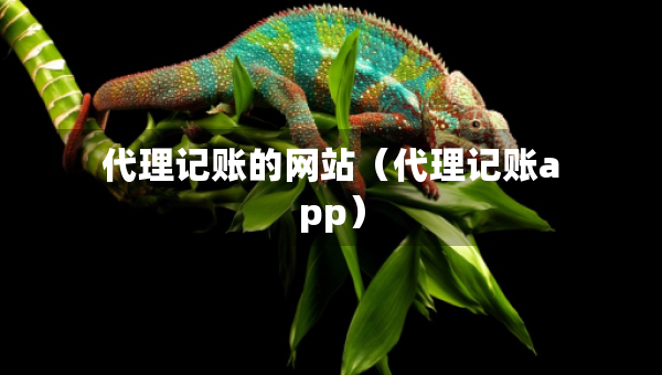 代理记账的网站(代理记账app) 代理记账的网站(代理记账app)
