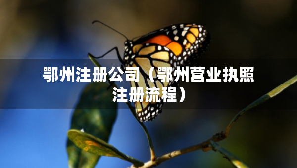 鄂州注册公司（鄂州营业执照注册流程）