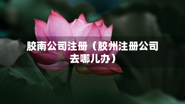 胶南公司注册（胶州注册公司去哪儿办）