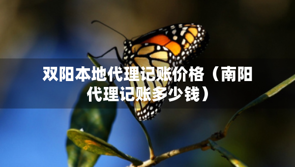 双阳本地代理记账价格（南阳代理记账多少钱）