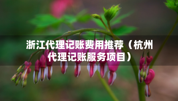 浙江代理记账费用推荐（杭州代理记账服务项目）