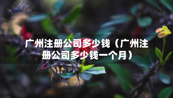 广州注册公司多少钱（广州注册公司多少钱一个月）