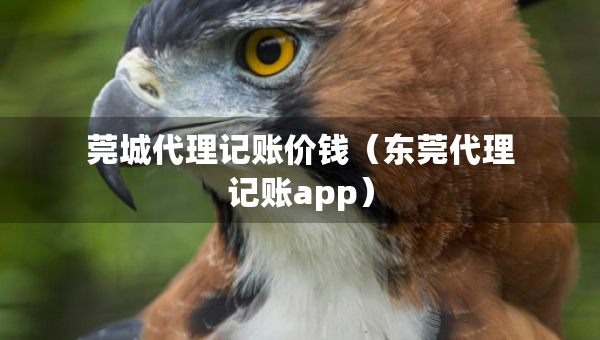 莞城代理记账价钱（东莞代理记账app）