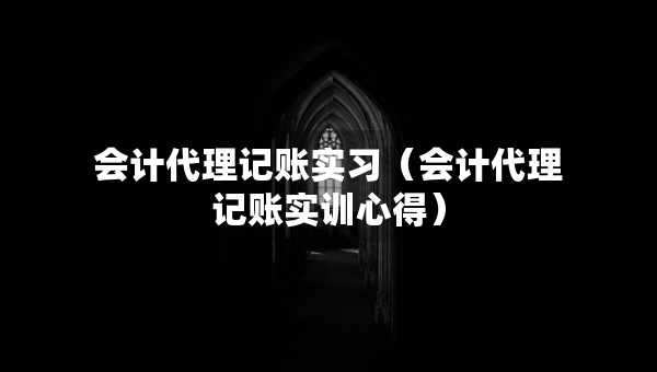 会计代理记账实习（会计代理记账实训心得）
